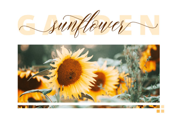 Maisharah Font PNG with transparent background - Preview 3