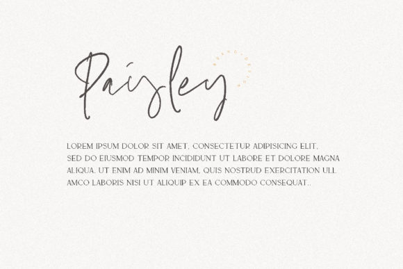 Marion & the Essentials Font PNG with transparent background - Preview 3