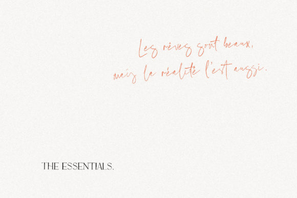 Marion & the Essentials Font PNG with transparent background - Preview 4
