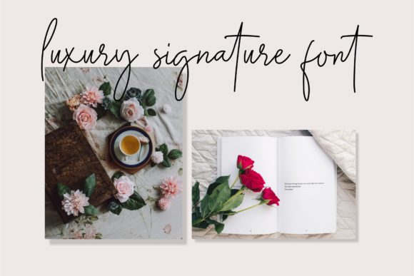 Midnight Siganture Font PNG with transparent background - Preview 1