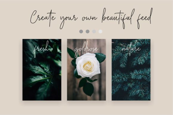 Midnight Siganture Font PNG with transparent background - Preview 2