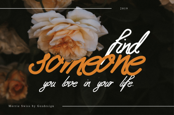 Morrie Swiss Font PNG with transparent background - Preview 3