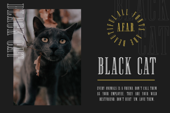 Newston Font PNG with transparent background - Preview 4