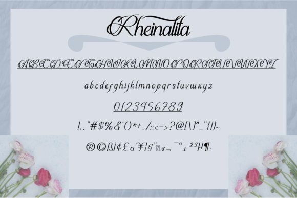 Rheinalita Font PNG with transparent background - Preview 3