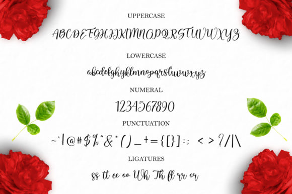 Samarra Font PNG with transparent background - Preview 4