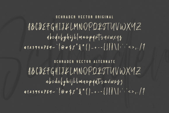 Schrader Font PNG with transparent background - Preview 1