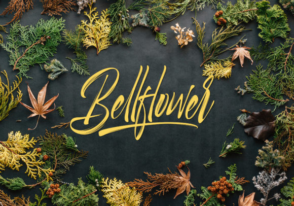 Selfakia Font PNG with transparent background - Preview 2