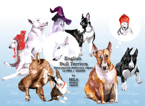 Watercolor English Bull Terriers Clip Art Graphic Illustrations By MilaWorldDesing