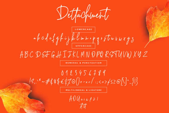Dettachment Font - Preview 6