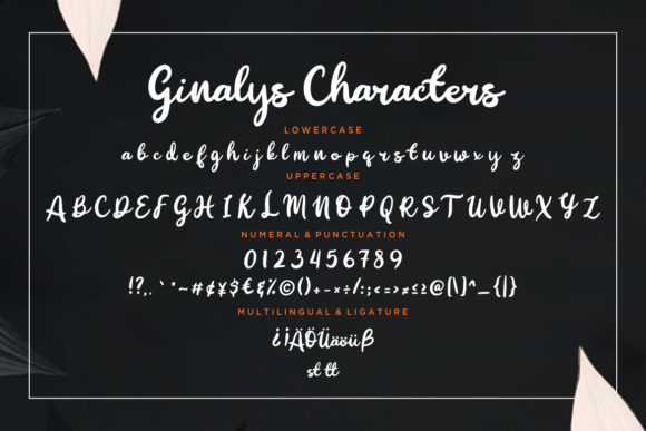 Ginalys Font - Preview 6