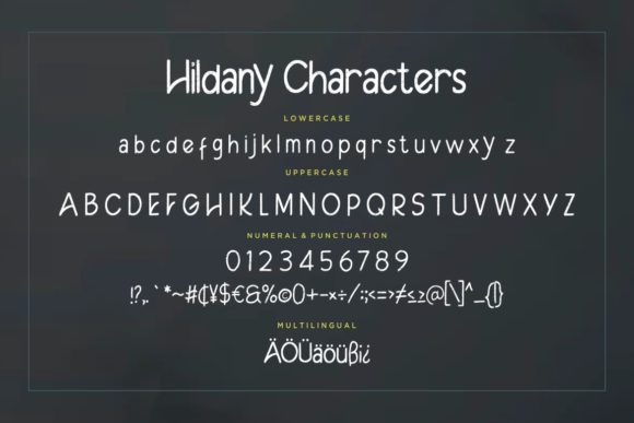 Hildany Font - Preview 6