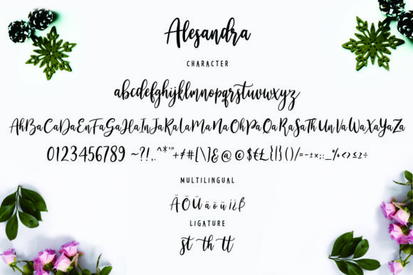 Alesandra Font - Preview 6