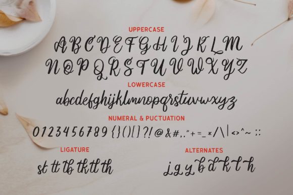 Ania Gamelia Font - Preview 3