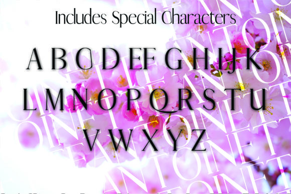 Antoinette Font - Preview 1