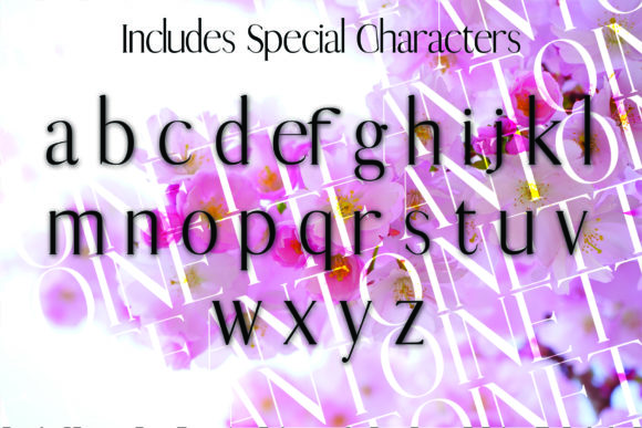 Antoinette Font - Preview 2
