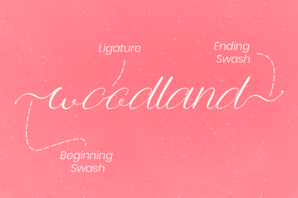 Anttalla Font - Preview 6