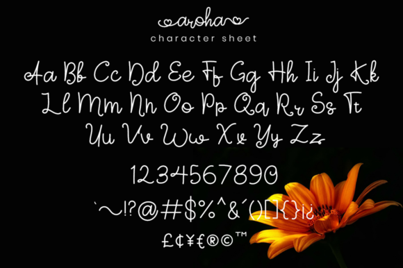 Aroha Script Font - Preview 4