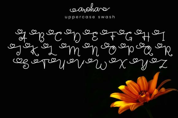 Aroha Script Font - Preview 5