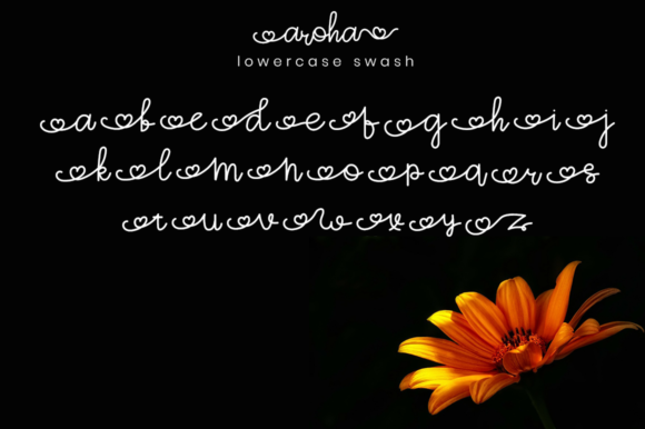Aroha Script Font - Preview 6