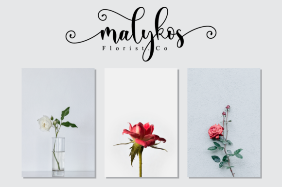 Ayalda Font - Preview 3