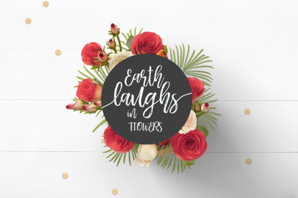 Beautiful Struggle Font - Preview 4