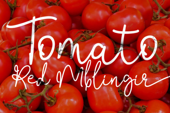 Bendina Sambat Font - Preview 5