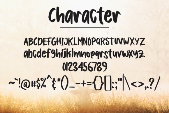 Boldey Font - Preview 3