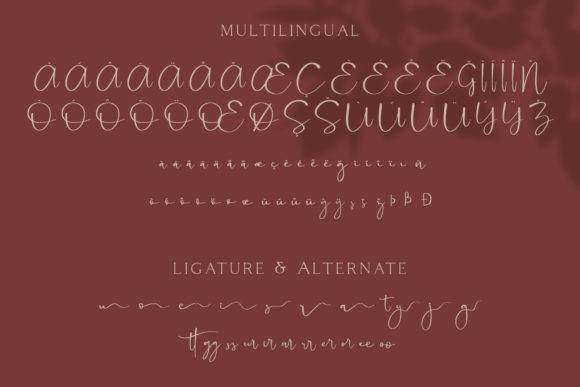 Cattus Font PNG with transparent background - Preview 2