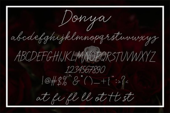Donya Font - Preview 2