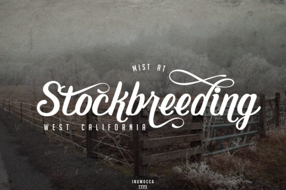 Early Morning Font - Preview 4