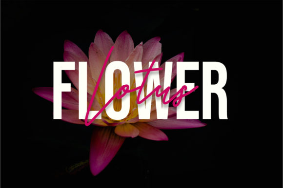 Hello Monday Font - Preview 4