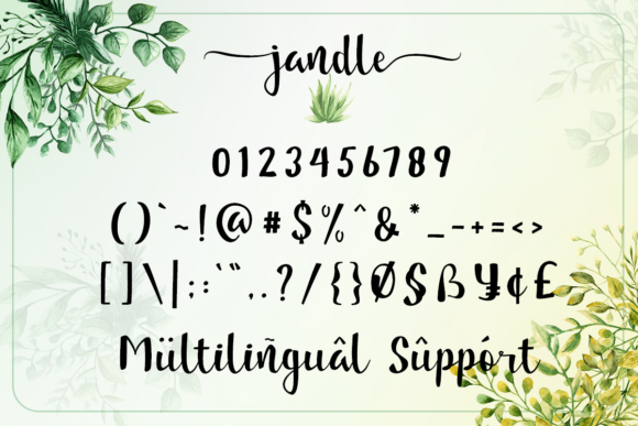 Jandle Font - Preview 6