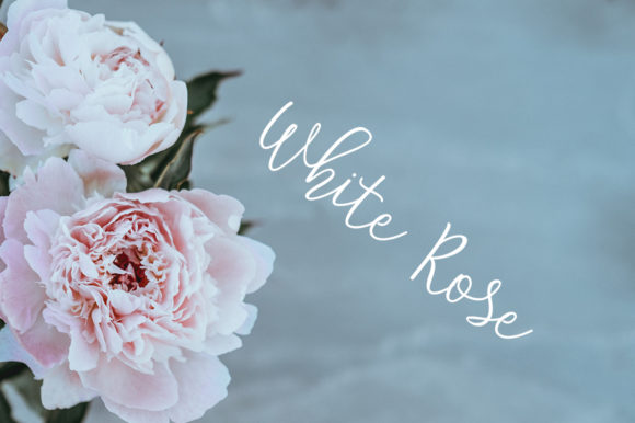 Joolyawan Font PNG with transparent background - Preview 4