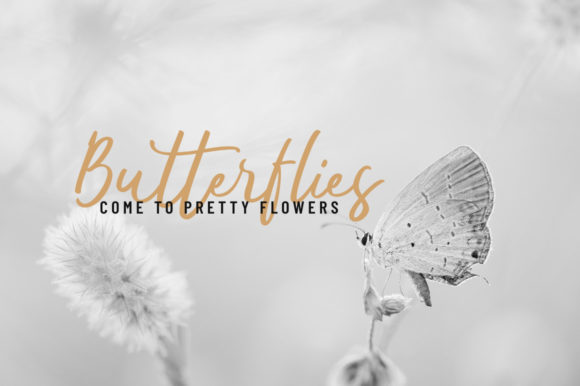 Kaftice Font font preview - 4