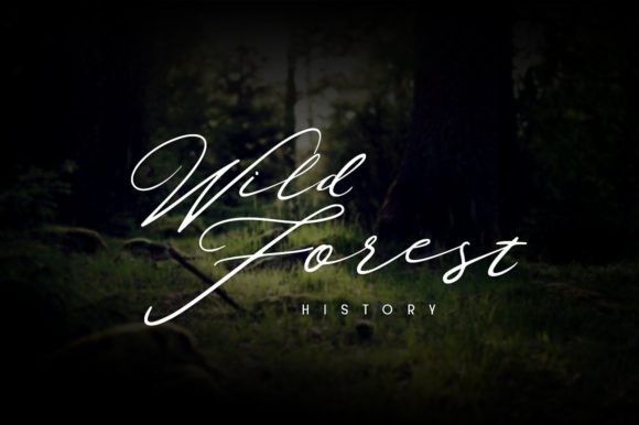 Localghost Font PNG with transparent background - Preview 1