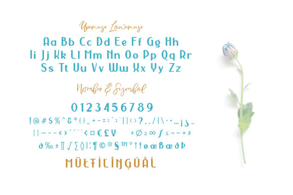 Nermola Duo Font PNG with transparent background - Preview 5