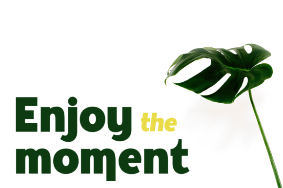 Palestra Font PNG with transparent background - Preview 2