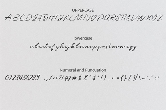 Raceer Font PNG with transparent background - Preview 4