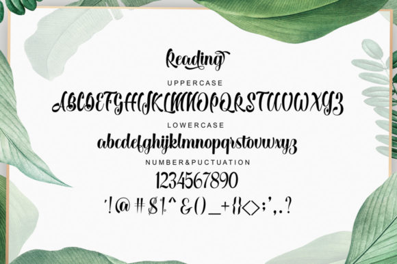 Reading Font PNG with transparent background - Preview 3