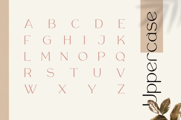 Rollgates Font PNG with transparent background - Preview 5