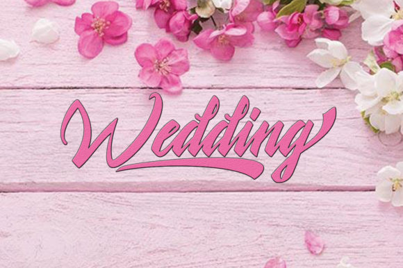 Shanella Font font preview - 5