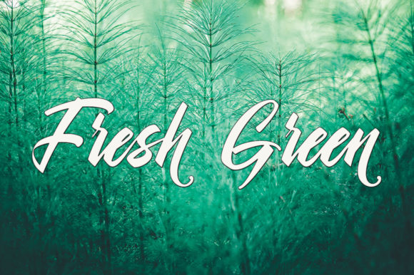Shanella Font font preview - 6