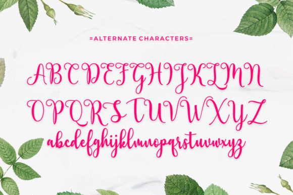 Berlin Script Font - Preview 2