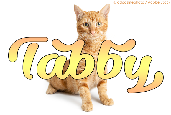 Dillon the Cat Font - Preview 3