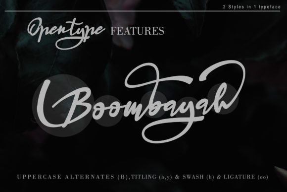 Haruka Font - Preview 2