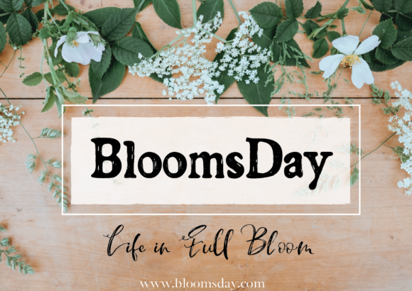 Rustic Barnyard Font PNG with transparent background - Preview 3