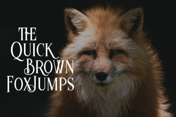 Monteradoo Font PNG with transparent background - Preview 1