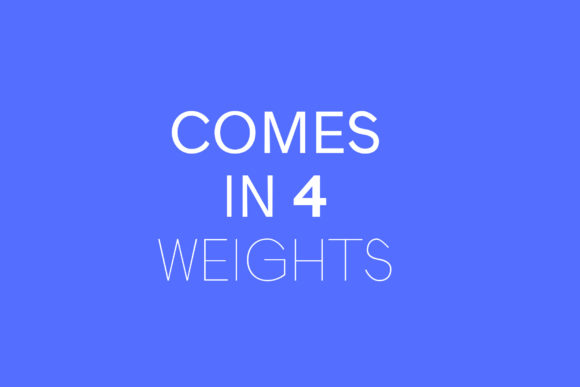 Sans Essential Font font preview - 1