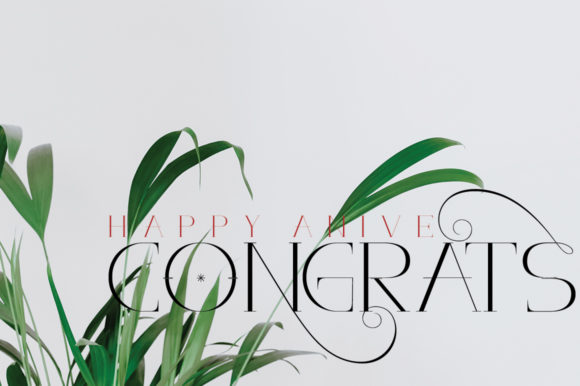 Aloe Vera Font - Preview 3