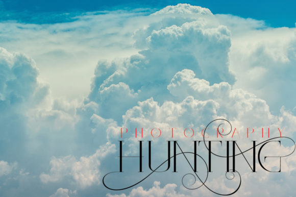 Aloe Vera Font - Preview 6
